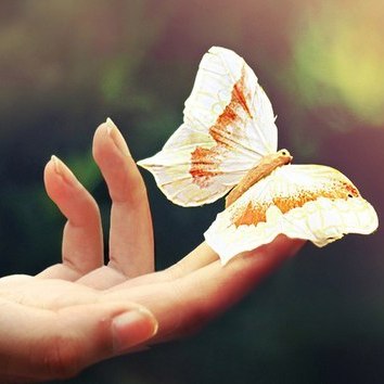 задай вопрос врачу-остеопату